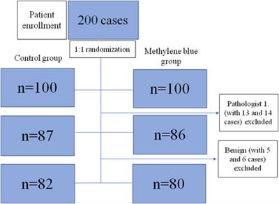 Improved Accuracy of Lymph Node Staging and Long-Term Survival Benefit in Colorectal Cancer With Ex Vivo Arterial Methylene Blue Infiltration